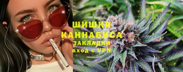 мдпв Надым