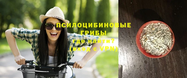 мет Дмитриев